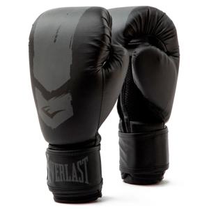 Боксерські рукавиці Everlast PROSPECT 2 BOXING GLOVE чорний, сірий Уні